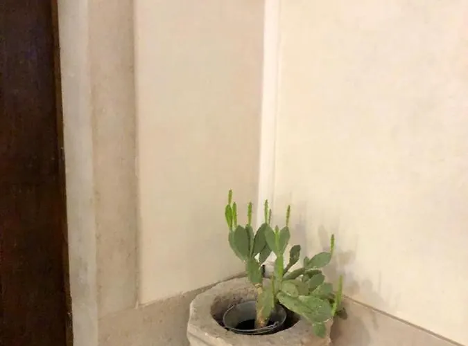 Palazzo Romanelli 4* 特拉尼
